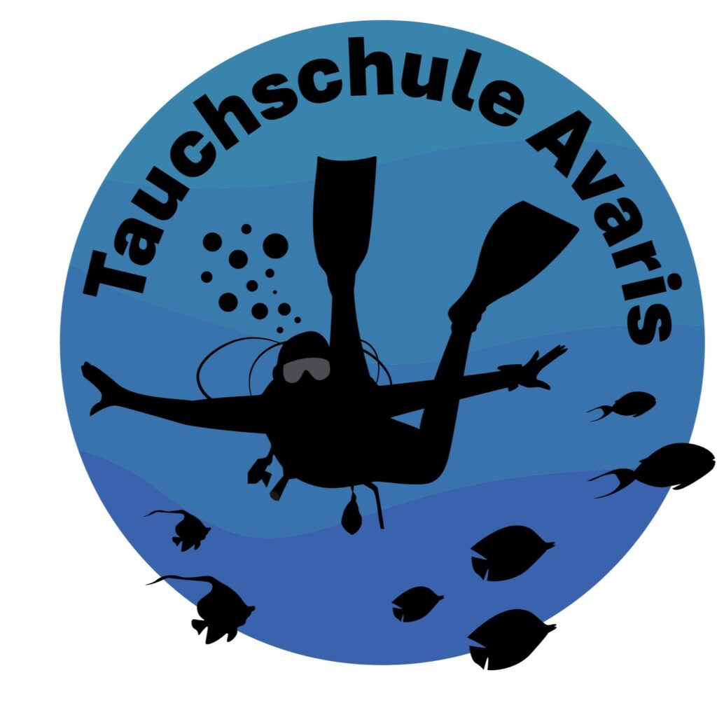 10095_annuaire_01