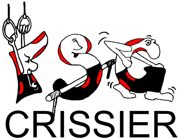 Logo FSG