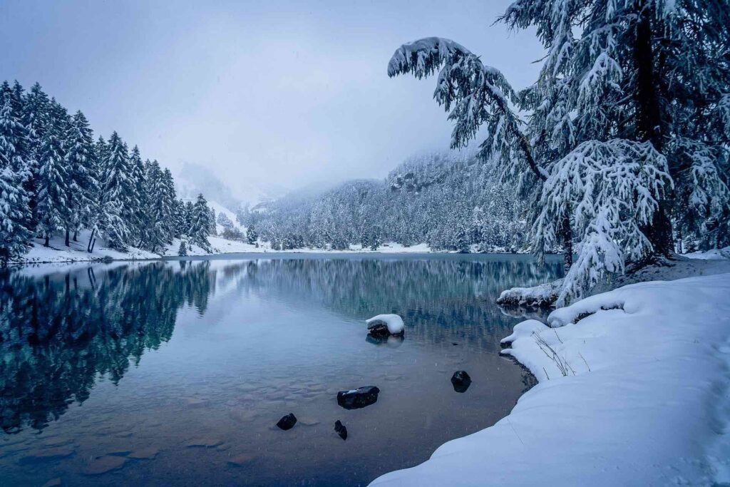 winter